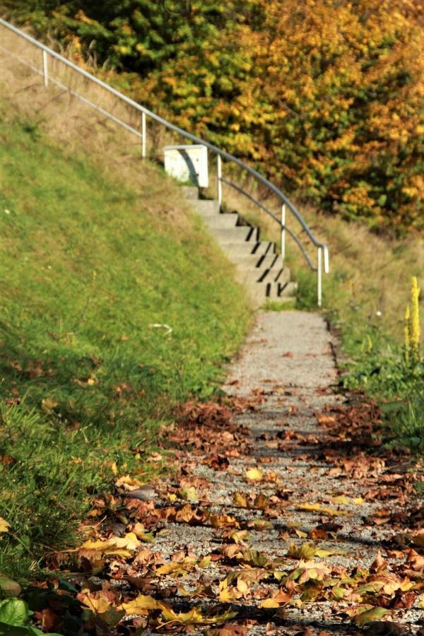 Letniskowa 10 Villa Czernichow  Buitenkant foto